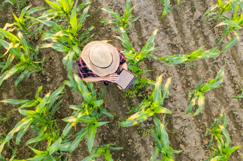 Agrotechnologies: le cluster à la double vocation